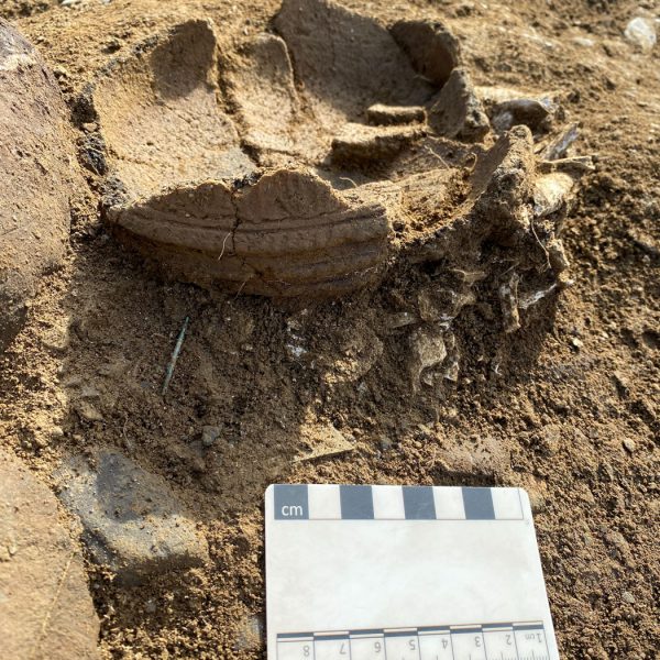 3_Baldonnell_Cremation pot pin C682 BRONZE AGE CREMATION BURIAL