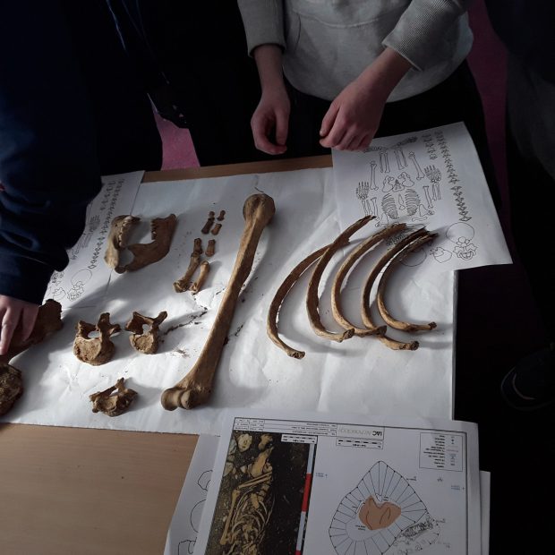 06_Sallins_Human Bone DISPLAY OF HUMAN REMAINS